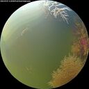 ./images/calvert/underwater/20260905/underwater20260905_113001M.jpg