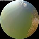 ./images/calvert/underwater/20260905/underwater20260905_114001M.jpg