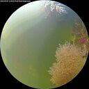./images/calvert/underwater/20260905/underwater20260905_114501M.jpg