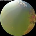 ./images/calvert/underwater/20260905/underwater20260905_115001M.jpg
