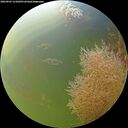 ./images/calvert/underwater/20260905/underwater20260905_121001M.jpg