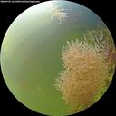 ./images/calvert/underwater/20260905/underwater20260905_122001M.jpg