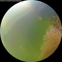 ./images/calvert/underwater/20260905/underwater20260905_122501M.jpg