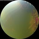 ./images/calvert/underwater/20260905/underwater20260905_125501M.jpg