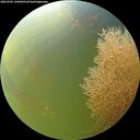 ./images/calvert/underwater/20260905/underwater20260905_130002M.jpg