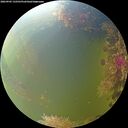 ./images/calvert/underwater/20260905/underwater20260905_132501M.jpg