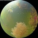 ./images/calvert/underwater/20260905/underwater20260905_133001M.jpg