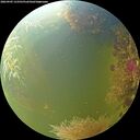 ./images/calvert/underwater/20260905/underwater20260905_133501M.jpg