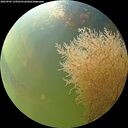 ./images/calvert/underwater/20260905/underwater20260905_134501M.jpg