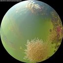 ./images/calvert/underwater/20260905/underwater20260905_140501M.jpg