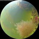 ./images/calvert/underwater/20260905/underwater20260905_141001M.jpg