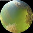 ./images/calvert/underwater/20260905/underwater20260905_142501M.jpg