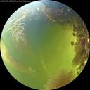 ./images/calvert/underwater/20260905/underwater20260905_143001M.jpg