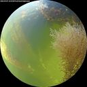 ./images/calvert/underwater/20260905/underwater20260905_143501M.jpg