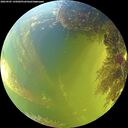 ./images/calvert/underwater/20260905/underwater20260905_145002M.jpg