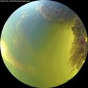 ./images/calvert/underwater/20260905/underwater20260905_145501M.jpg