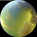 ./images/calvert/underwater/20260905/underwater20260905_150002M.jpg