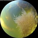 ./images/calvert/underwater/20260905/underwater20260905_150501M.jpg