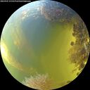 ./images/calvert/underwater/20260905/underwater20260905_151501M.jpg