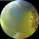 ./images/calvert/underwater/20260905/underwater20260905_152002M.jpg