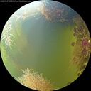 ./images/calvert/underwater/20260905/underwater20260905_153001M.jpg