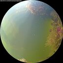 ./images/calvert/underwater/20260905/underwater20260905_154502M.jpg