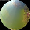 ./images/calvert/underwater/20260905/underwater20260905_155001M.jpg