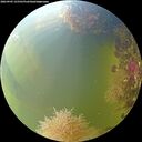 ./images/calvert/underwater/20260905/underwater20260905_155501M.jpg