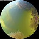./images/calvert/underwater/20260905/underwater20260905_160001M.jpg