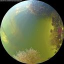 ./images/calvert/underwater/20260905/underwater20260905_160501M.jpg