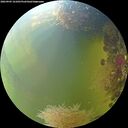 ./images/calvert/underwater/20260905/underwater20260905_161001M.jpg
