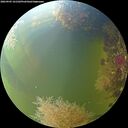 ./images/calvert/underwater/20260905/underwater20260905_161502M.jpg