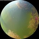 ./images/calvert/underwater/20260905/underwater20260905_162001M.jpg