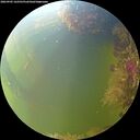 ./images/calvert/underwater/20260905/underwater20260905_162501M.jpg