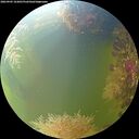 ./images/calvert/underwater/20260905/underwater20260905_163001M.jpg