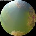 ./images/calvert/underwater/20260905/underwater20260905_163502M.jpg