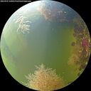./images/calvert/underwater/20260905/underwater20260905_164001M.jpg