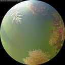./images/calvert/underwater/20260905/underwater20260905_165001M.jpg