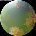 ./images/calvert/underwater/20260905/underwater20260905_171001M.jpg