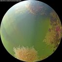 ./images/calvert/underwater/20260905/underwater20260905_172001M.jpg