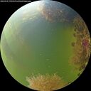 ./images/calvert/underwater/20260905/underwater20260905_172501M.jpg