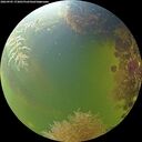 ./images/calvert/underwater/20260905/underwater20260905_173001M.jpg