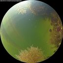 ./images/calvert/underwater/20260905/underwater20260905_173501M.jpg