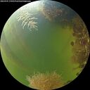 ./images/calvert/underwater/20260905/underwater20260905_174501M.jpg