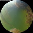 ./images/calvert/underwater/20260905/underwater20260905_175001M.jpg