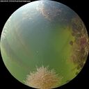 ./images/calvert/underwater/20260905/underwater20260905_175501M.jpg
