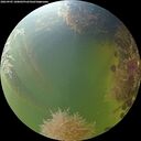 ./images/calvert/underwater/20260905/underwater20260905_180001M.jpg