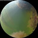 ./images/calvert/underwater/20260905/underwater20260905_180501M.jpg