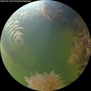 ./images/calvert/underwater/20260905/underwater20260905_181501M.jpg