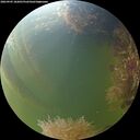 ./images/calvert/underwater/20260905/underwater20260905_182001M.jpg